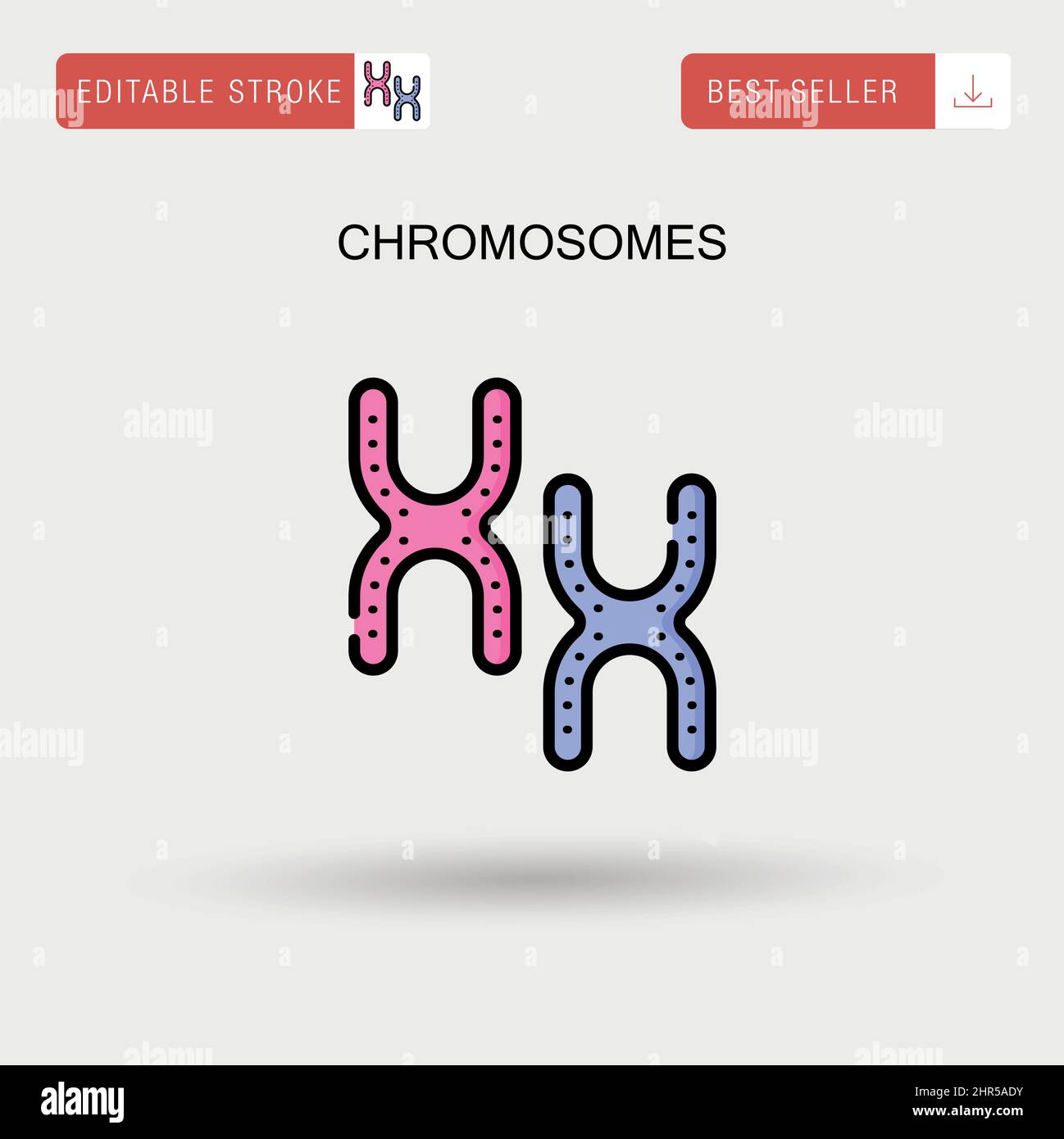 Biologie des chromosomes adn Banque de photographies et d’images à ...