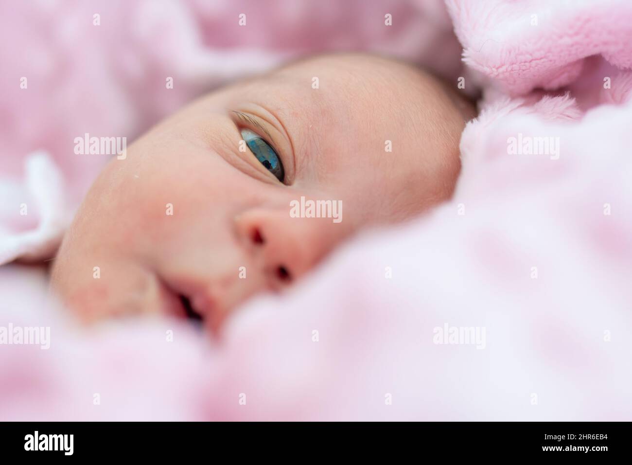 Portrait d'une jeune fille de nouveau-né couché dans son berceau enveloppé dans sa couverture rose douce. Soins de naissance et de nouveau-né Banque D'Images