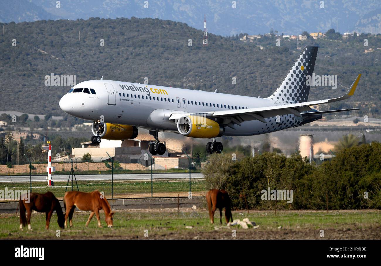 Vol de la société Vueling à l'aéroport de Palma de Majorque Banque D'Images