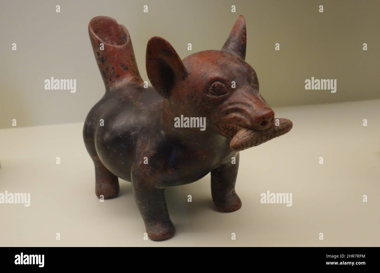 Lady Dog avec une rafle dans ses dents. Archéologie précolombienne Banque D'Images