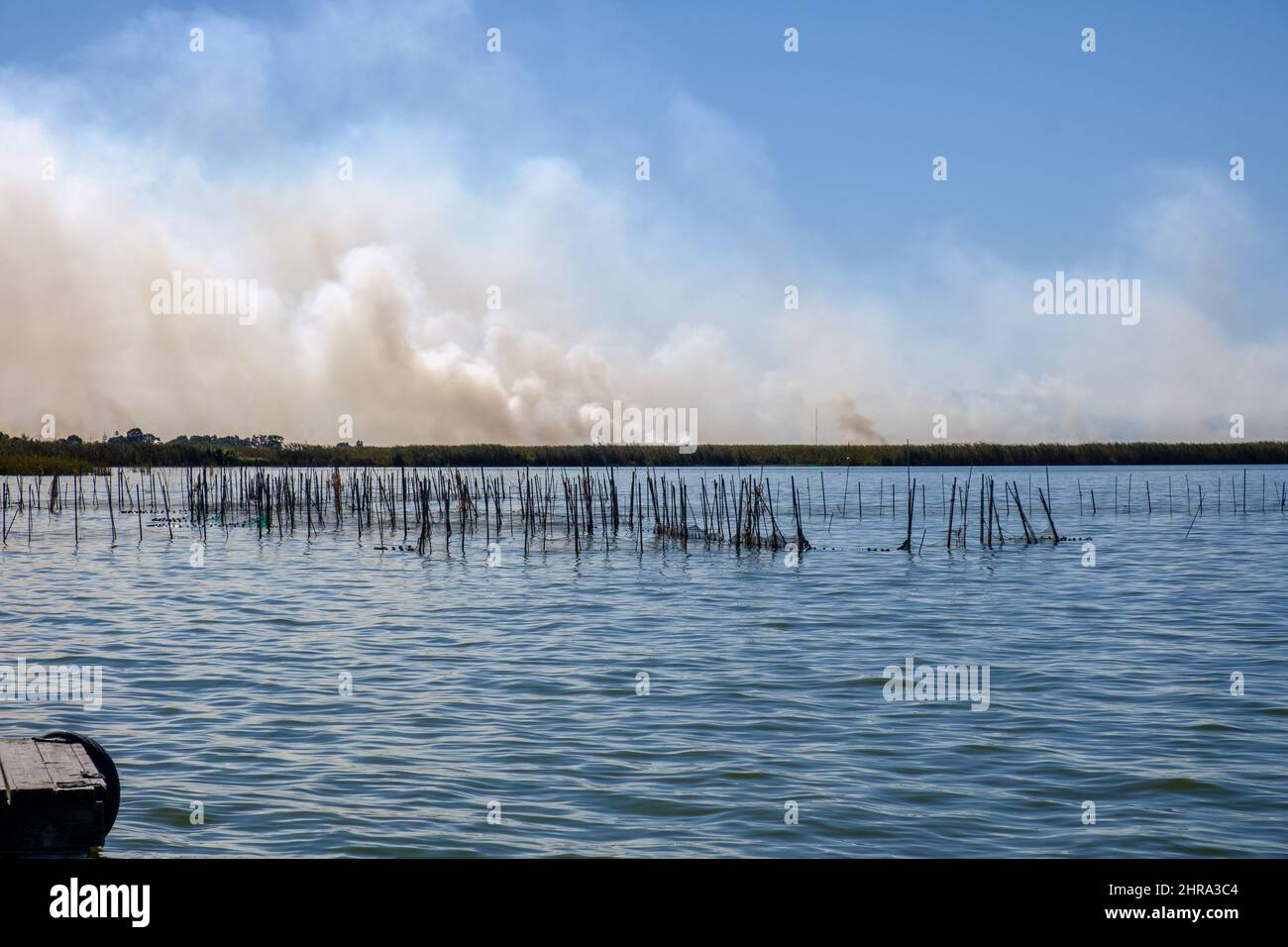 Combustion de chaume de riz combustion de paille dans les riziculteurs de l'Albufera Valence Espagne, pollution problème environnemental, ciel sombre nuages Banque D'Images