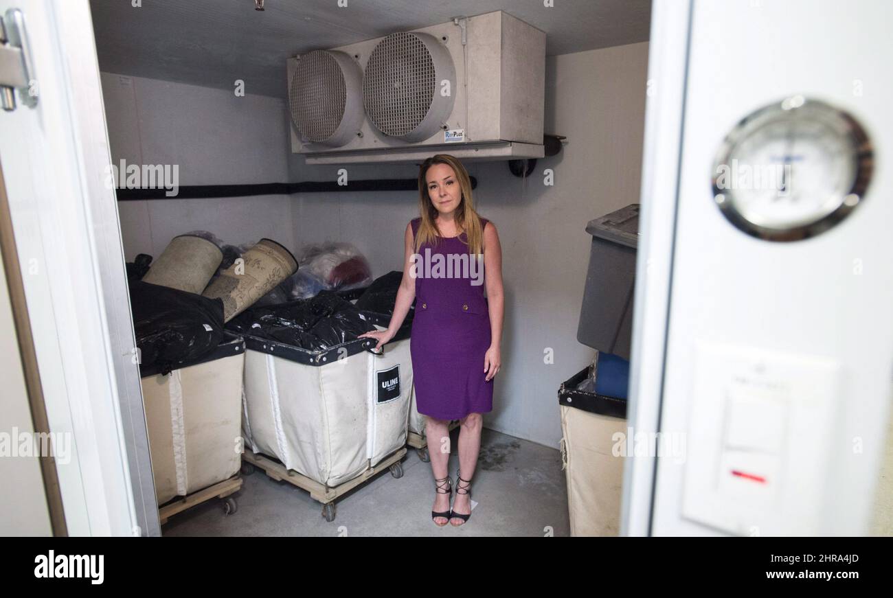 Tuer les punaises de lit Banque de photographies et d’images à haute résolution Alamy