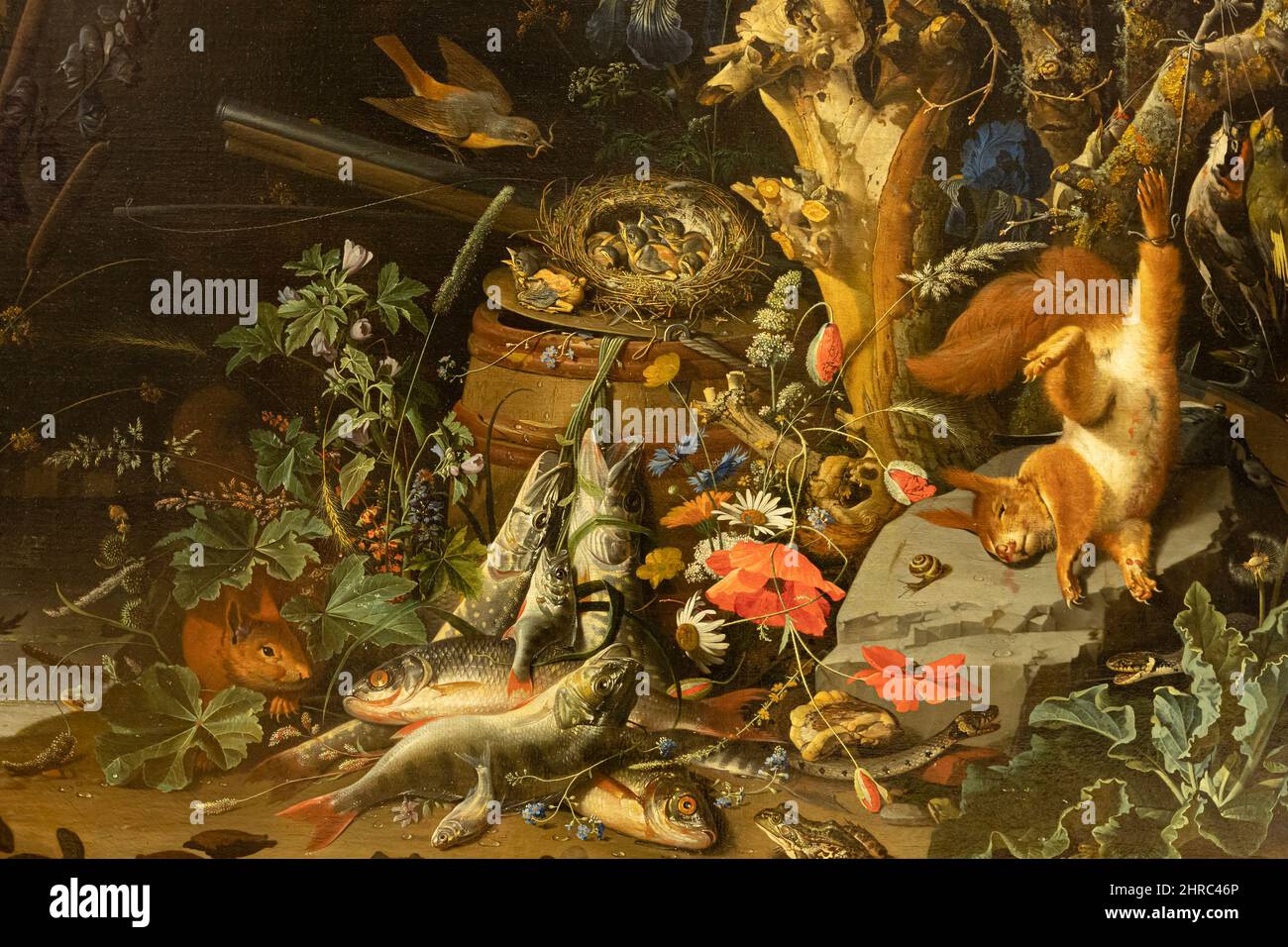 Musée du Louvre. Nid de Redlats, connu sous le nom de Nest de chaffinches peint par Abraham Mignon Banque D'Images