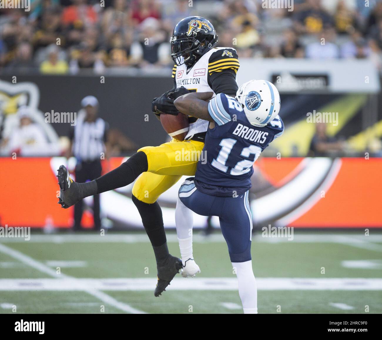 SGSCFG 1 Morceau De Receveur De Rêve En Plumes, Papillon De Rêve, Grand