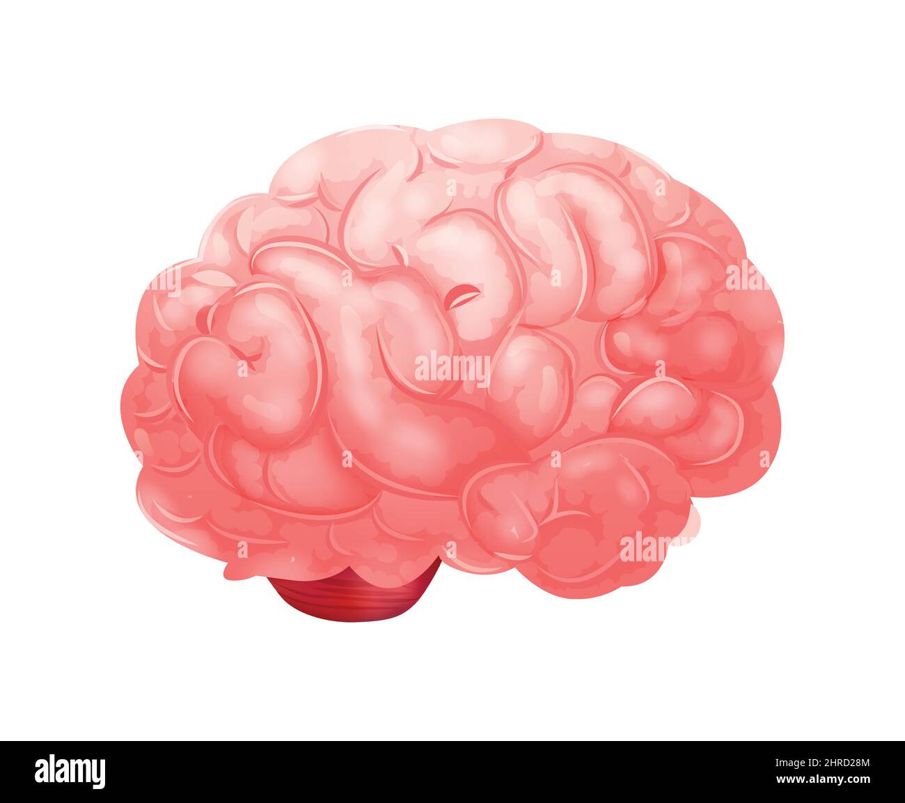 Composition anatomique réaliste des organes internes humains avec image isolée de l'illustration du vecteur cérébral Illustration de Vecteur