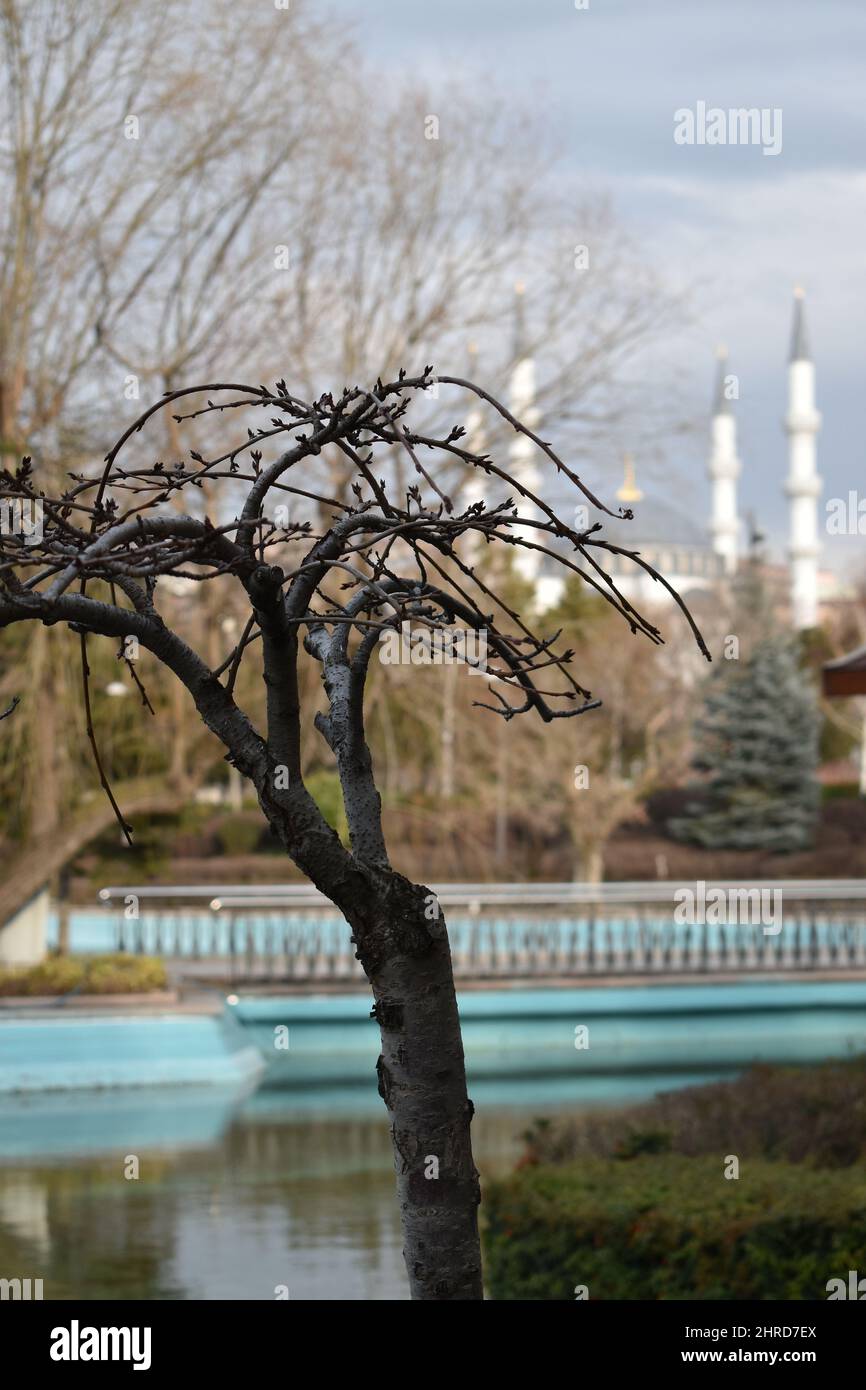 Genclik Park, Ankara (avec la mosquée Melike Hatun au loin) Banque D'Images