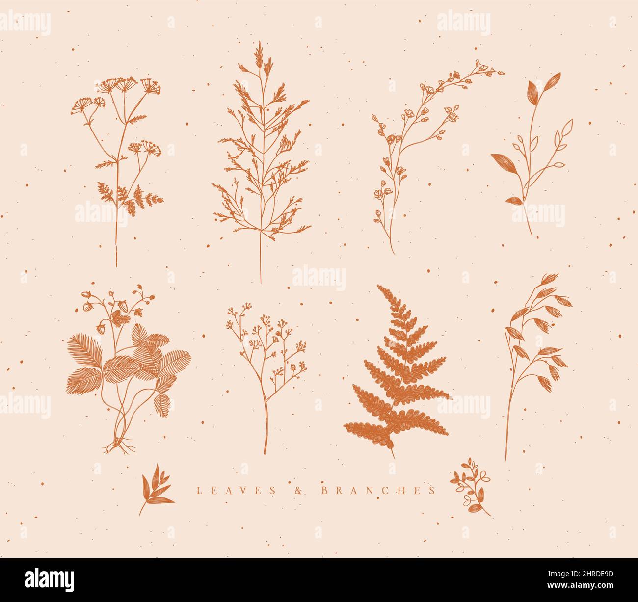 Ensemble de feuilles et de branches de style floral dessinant dans la couleur moutarde sur fond beige Illustration de Vecteur