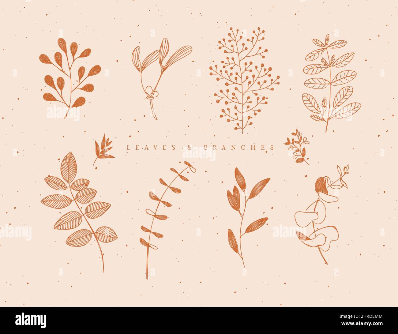 Ensemble de feuilles et de branches graphiques de style floral dessinant de la moutarde beige sur fond beige Illustration de Vecteur
