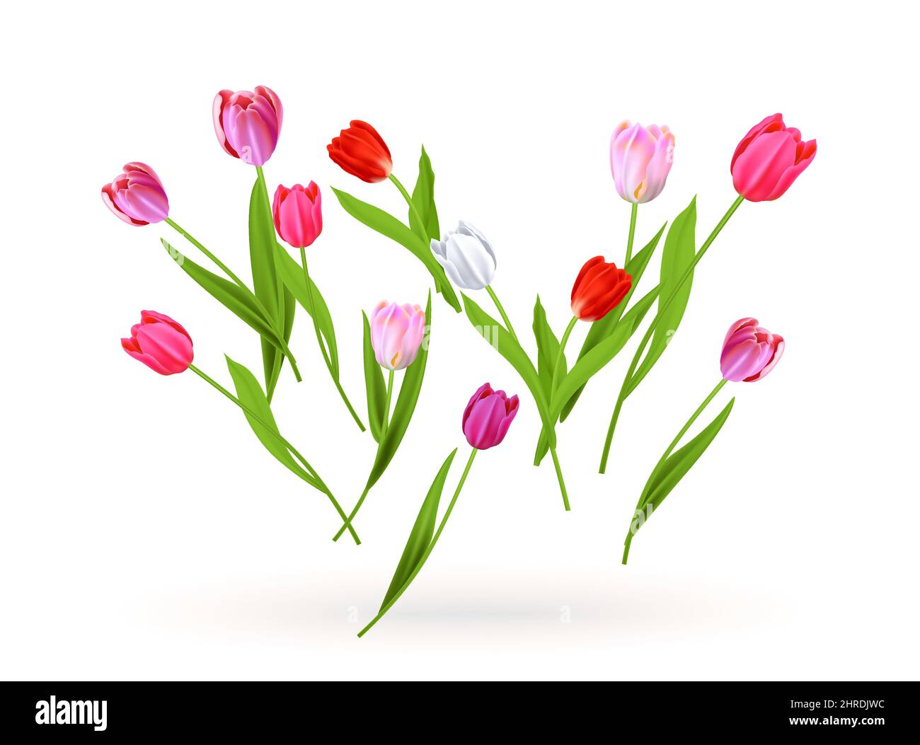 Fleurs tulipes nature concept Illustration de Vecteur