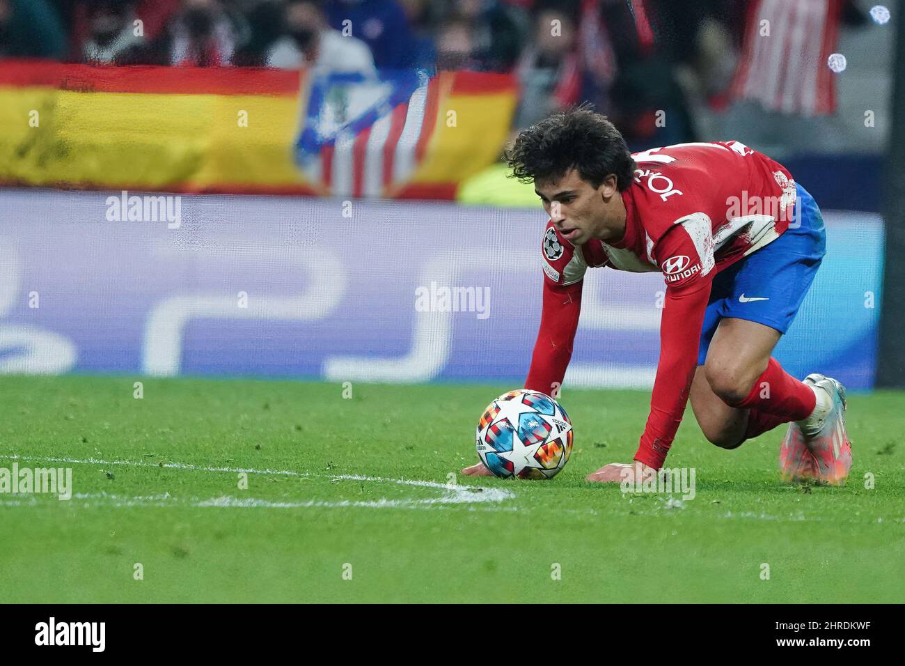 Madrid, Espagne. 23rd févr. 2022. Joao Felix de l'Atlético Madrid vu en action, lors de la première partie du match de football de la Ligue des champions de l'UEFA de 16 entre l'Atlético Madrid et Manchester United au stade Wanda Metropolitano. (Photo par Atilano garcia/SOPA images/Sipa USA) Credit: SIPA USA/Alay Live News Banque D'Images