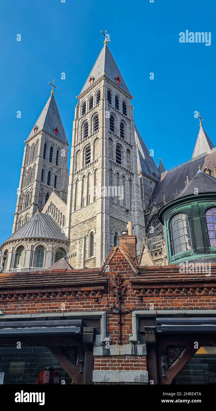 Plan vertical du dôme et des tours de la cathédrale catholique Banque D'Images