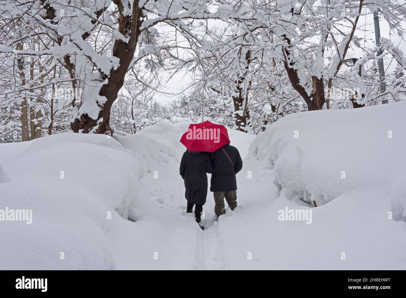 Un couple tenant un parapluie rouge sur la neige, Yokote, préfecture d'Akita, Japon Banque D'Images