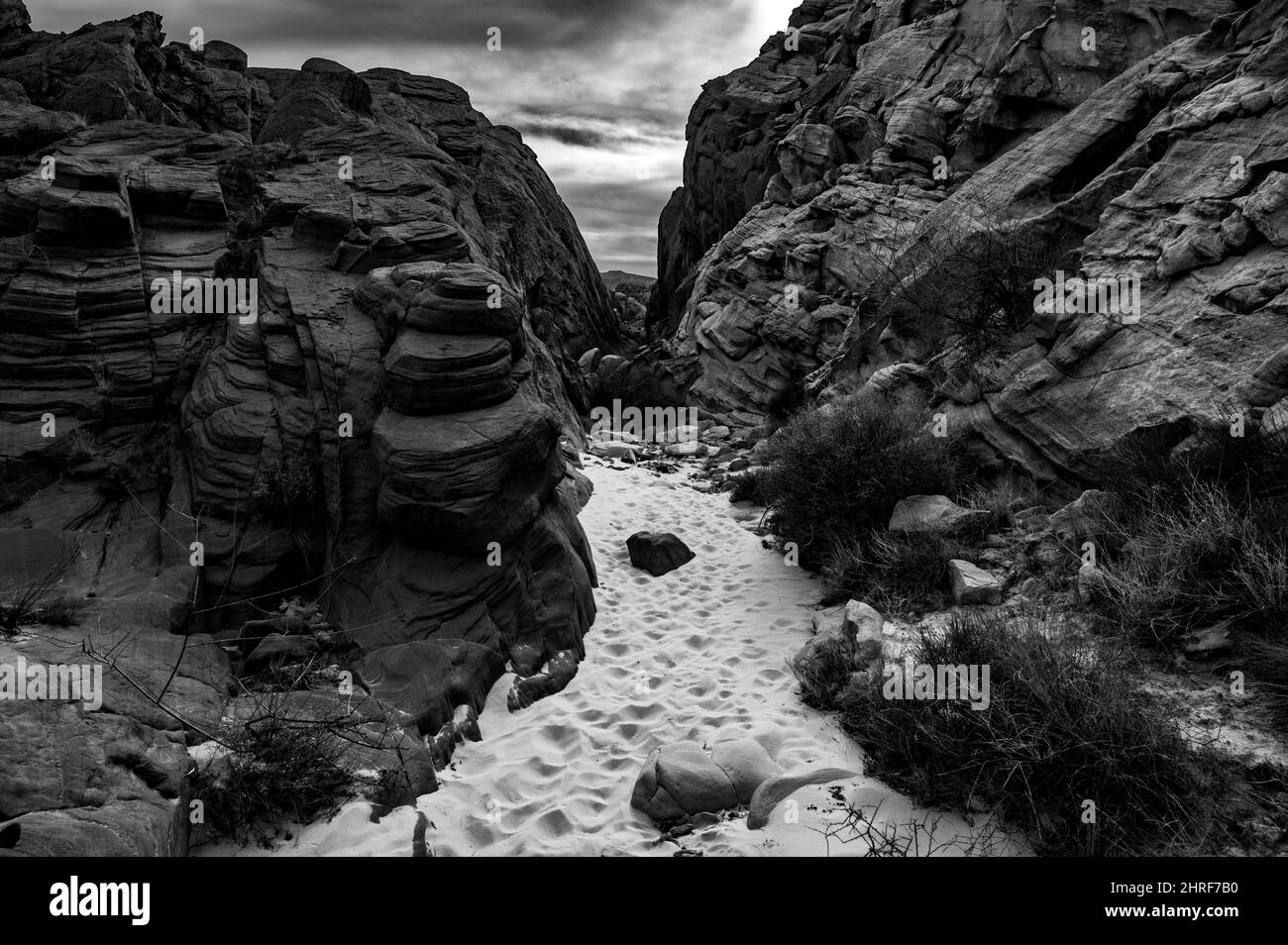 Un cliché spectaculaire en niveaux de gris de la formation de roches dans un parc Banque D'Images