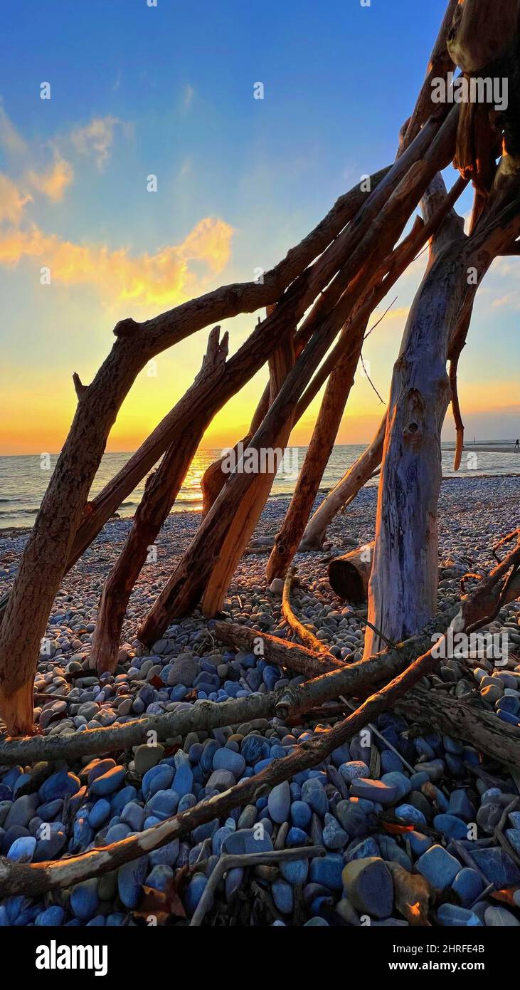 Plan vertical de bois flotté sur une rive de roche pendant le coucher du soleil Banque D'Images