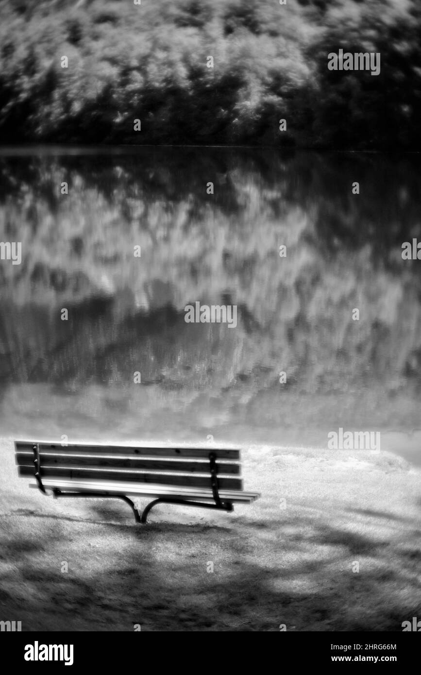 Prise de vue en niveaux de gris d'un banc près d'un lac Banque D'Images