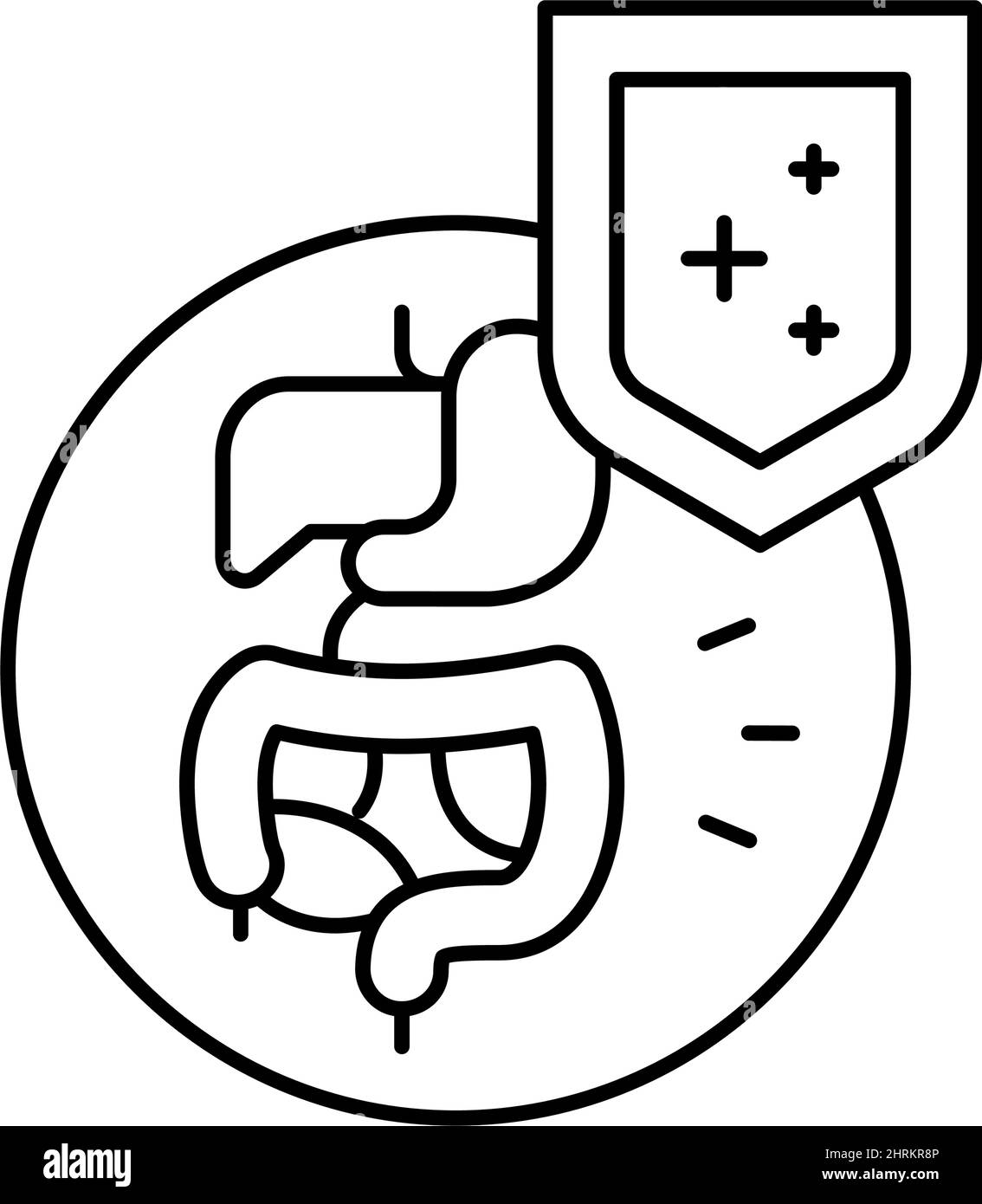 illustration vectorielle de l'icône de la ligne de défense de l'immunité du tube digestif Illustration de Vecteur