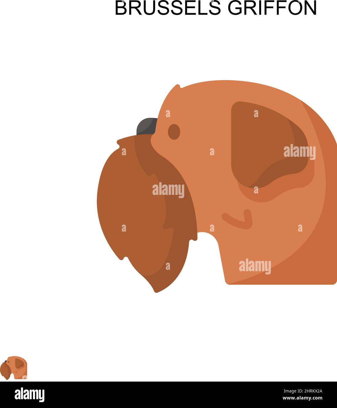 Brussels griffon simple vector icône. Modèle de conception de symbole d'illustration pour élément d'interface utilisateur Web mobile. Illustration de Vecteur