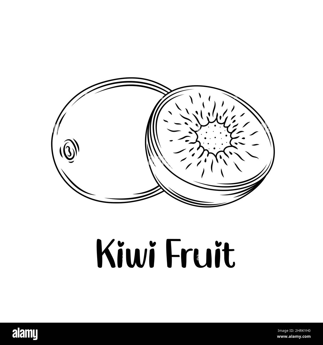 Illustration kiwi dessinée à la main à l'encre et au stylo. Conception vectorielle isolée pour les produits de fruits et légumes et les produits de santé. Illustration de Vecteur