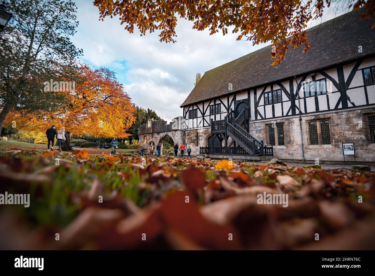 L'Hospitium, Musée Jardins, York Banque D'Images