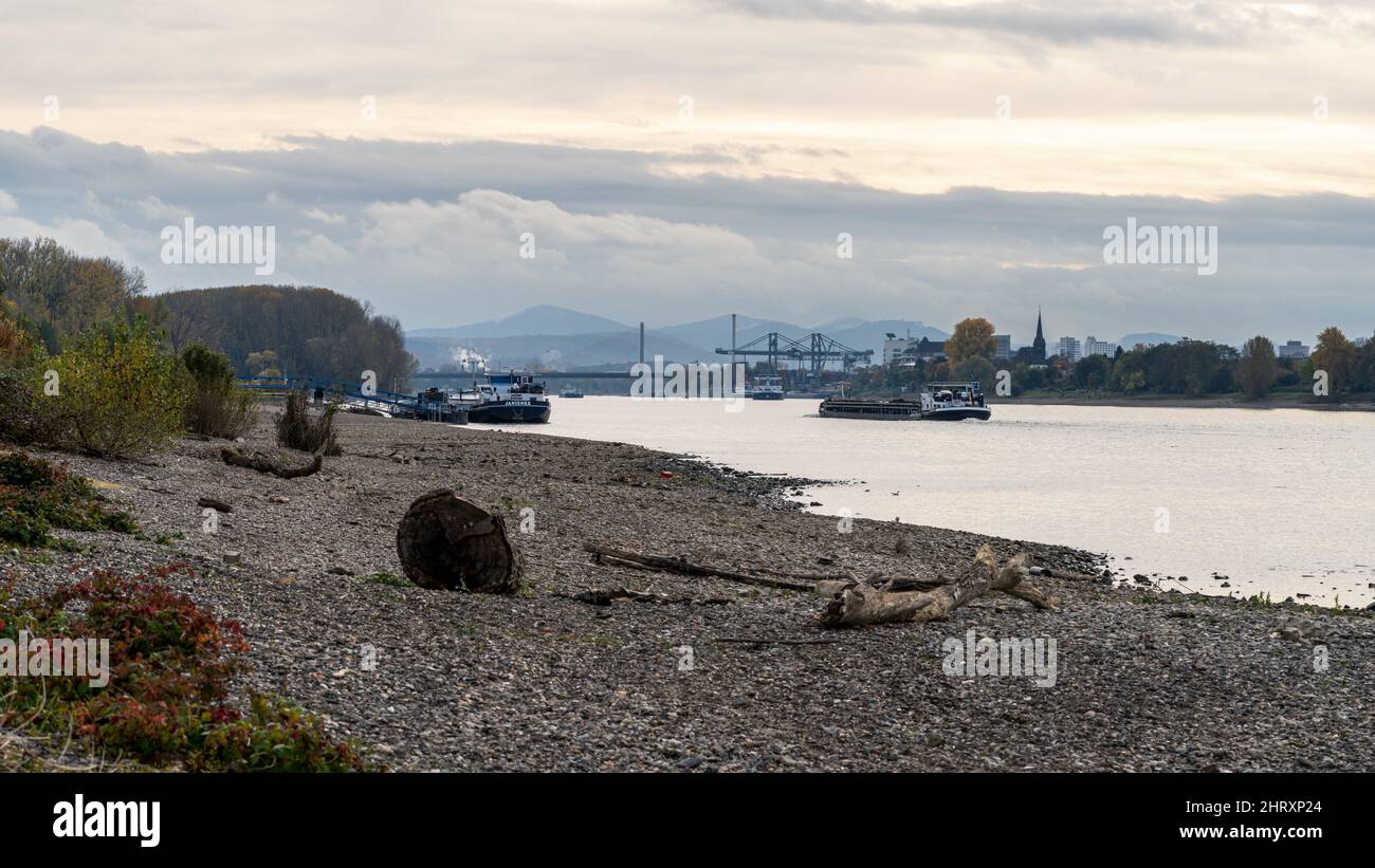 Niederkassel, Rhénanie-du-Nord-Westphalie, Allemagne - 31 octobre 2021 : navires sur le Rhin à Mondorf, avec Bonn et le Siebengebirge à l'arrière-pays Banque D'Images