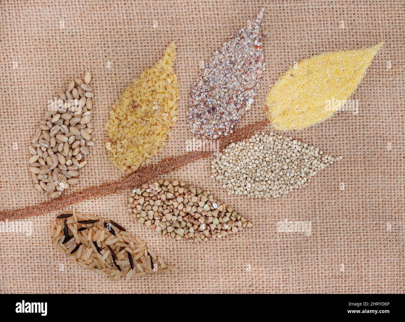 Sélection de grains sains différents et alternatifs en forme de fleur de blé Banque D'Images