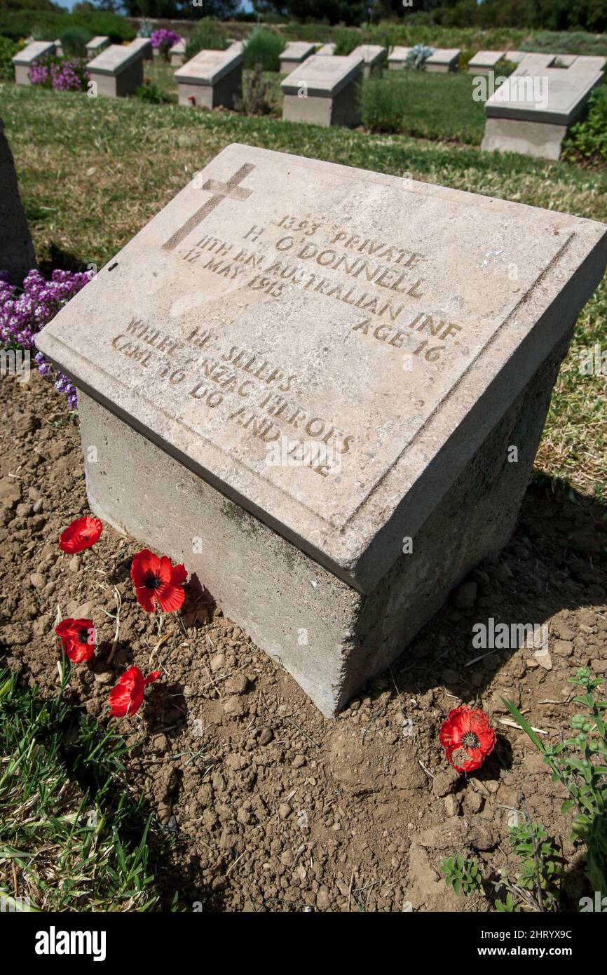 La pierre angulaire de '1393 privé H O'Donnell, 11th en infanterie australienne au cimetière Lone Pine Cemetery sur la péninsule de Gallipoli en Turquie. Banque D'Images