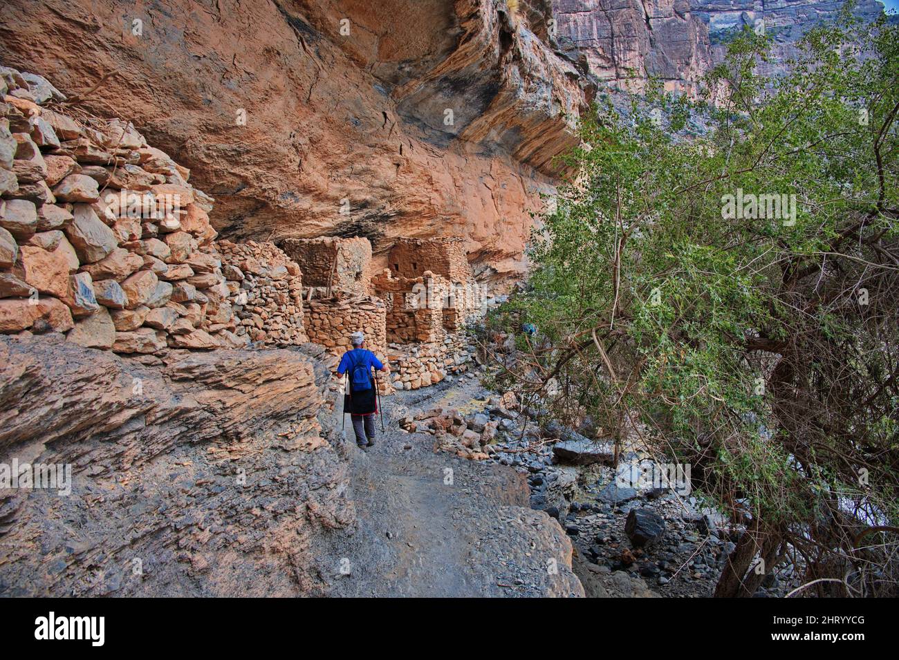 Randonneur senior marchant le long du canyon de Jabal Shams en Oman Banque D'Images