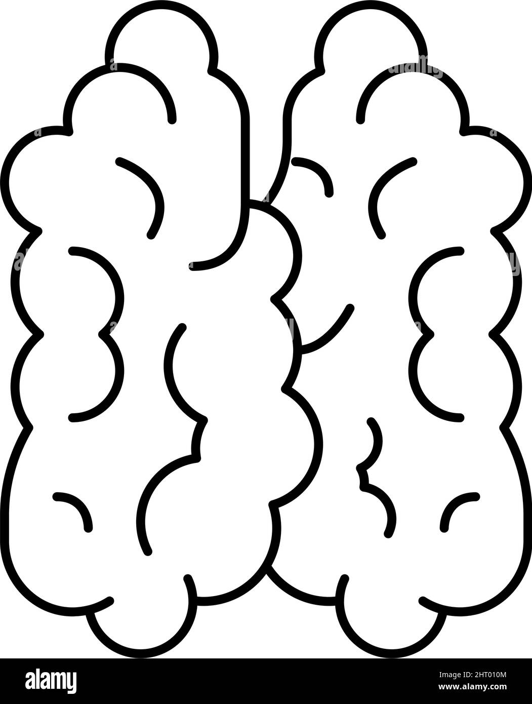 illustration du vecteur d'icône de thymus de la ligne du système immunitaire Illustration de Vecteur