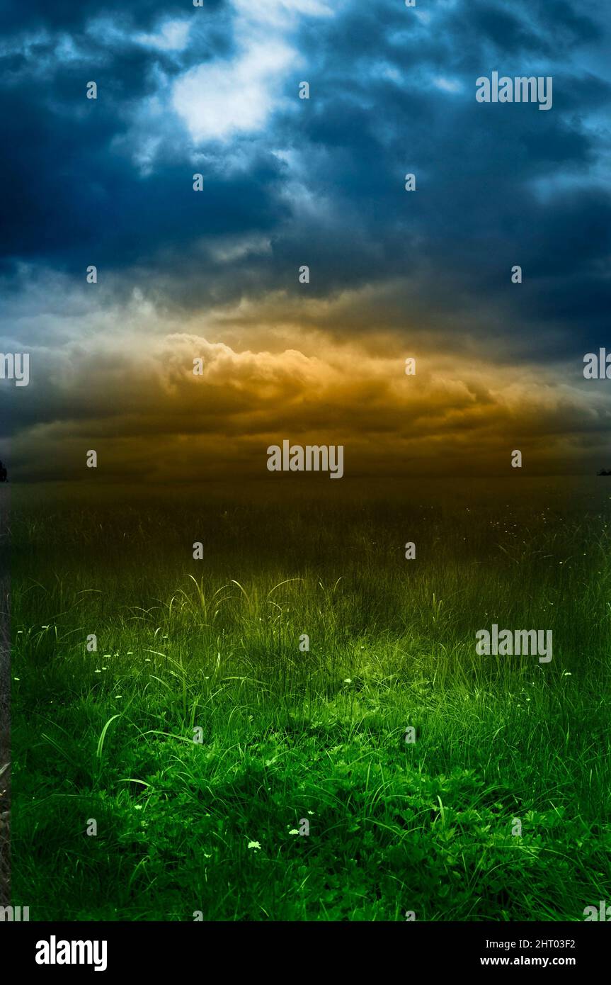 prairie vide avec un ciel spectaculaire en arrière-plan Banque D'Images