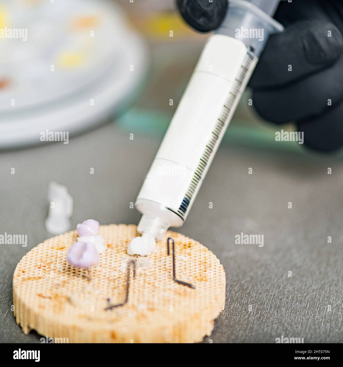 Technicien dentaire préparant la couronne de dent en céramique Banque D'Images