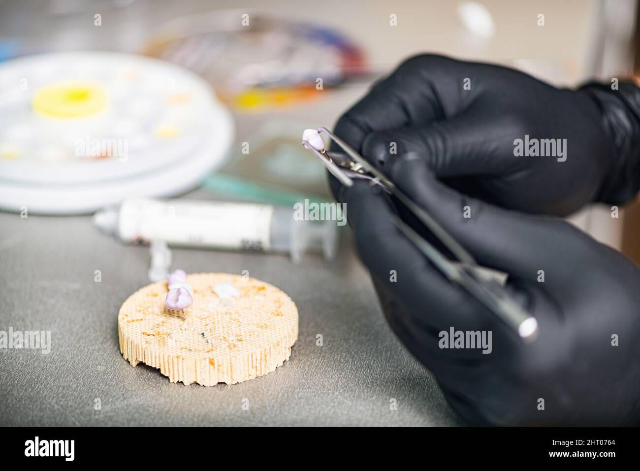 Technicien dentaire préparant la couronne de dent en céramique Banque D'Images