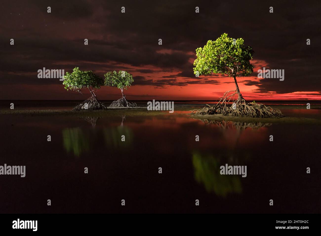 Un paysage nocturne trouble avant la photographie au lever du soleil et trois mangroves rouges sur les vasières à Yule point Far North Queensland, en Australie. Banque D'Images