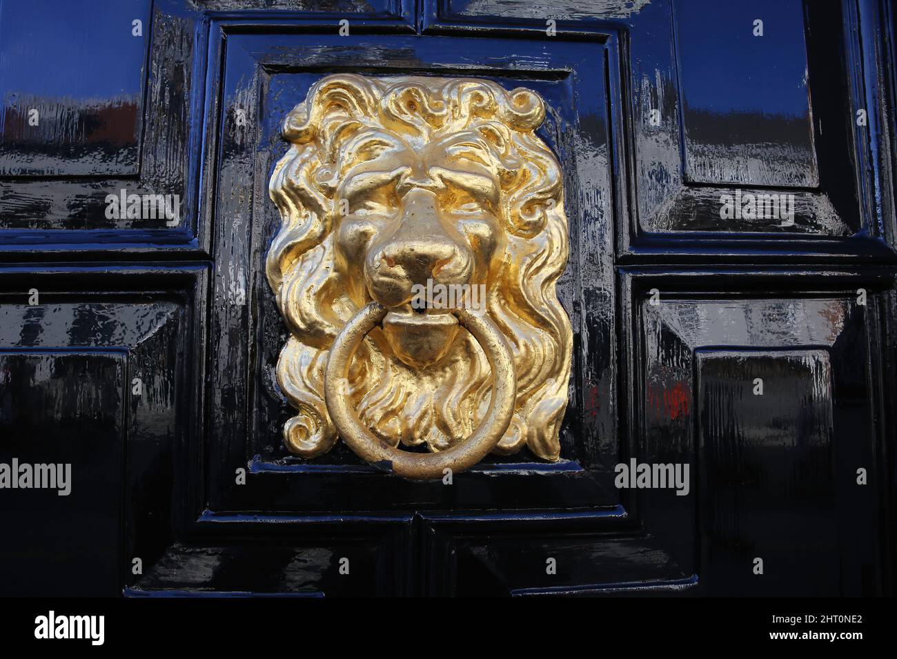 Gros plan d'un ancien knock de porte face à tête de lion isolé avec anneau à la porte en bois noir poli brillant Banque D'Images