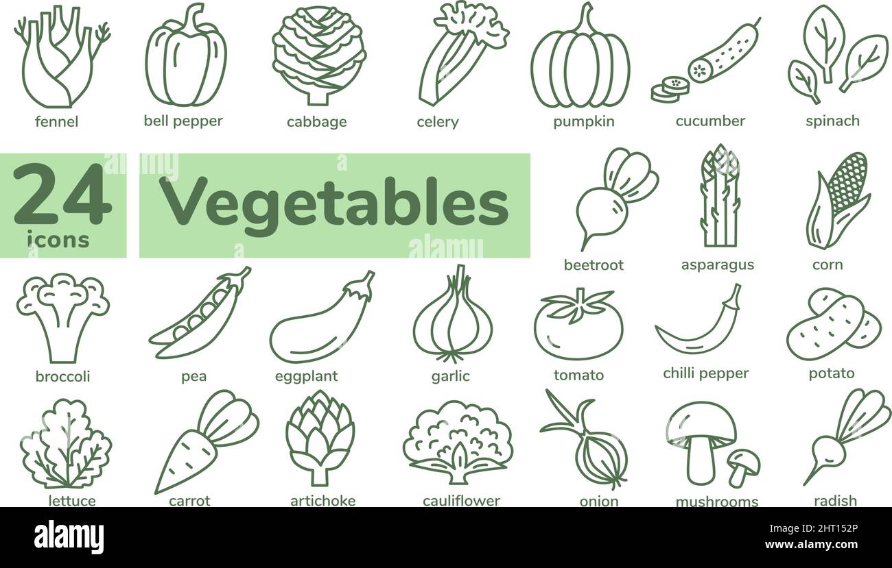Ensemble d'icônes de légumes. Conception simple et fine. Collection d'icônes de contour. Illustration de Vecteur