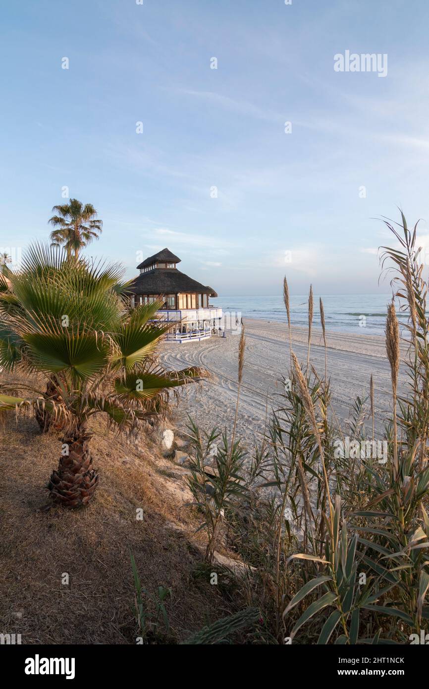 Un bar de plage parmi les palmiers sur la belle plage de Matalascañas, Espagne. Concept de vacances. Banque D'Images