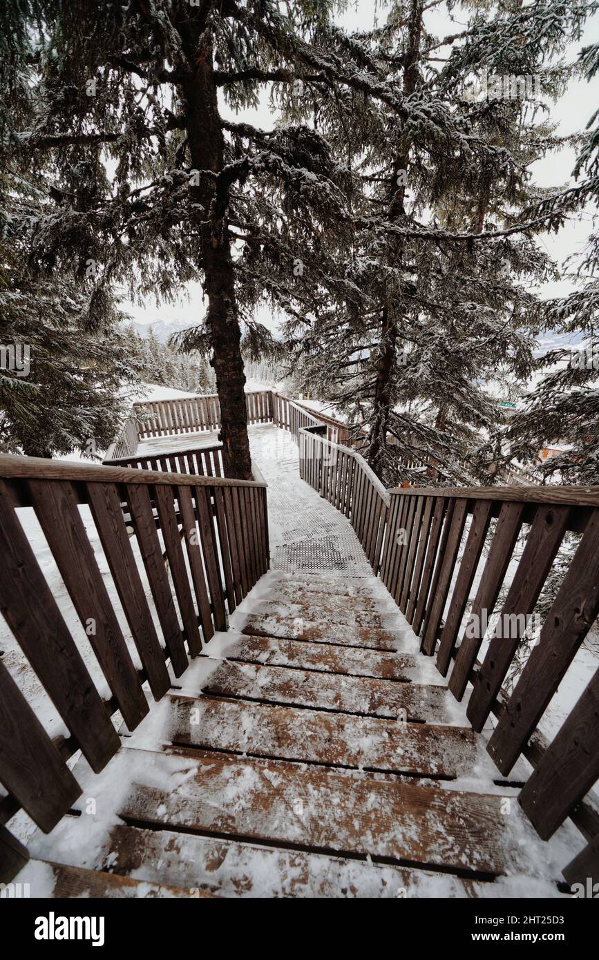 Plan vertical d'un escalier en bois gelé et d'arbres enneigés en hiver Banque D'Images