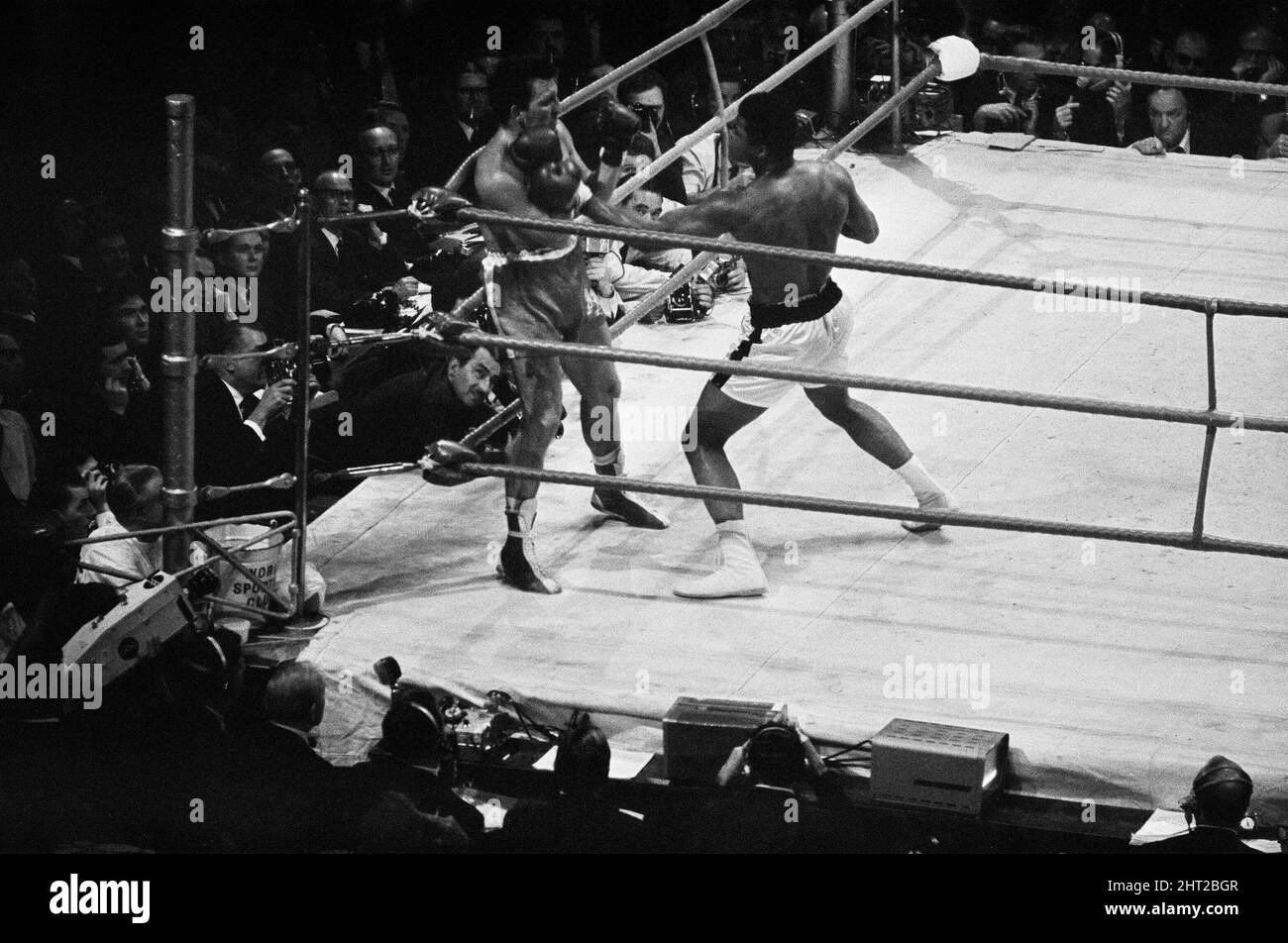 Le 6 août 1966, au Earls court Arena, Kensington, Londres, Angleterre, le champion de poids lourd Muhammad Ali, de Louisville, Kentucky, a défendu son titre contre Brian London, de Blackpool, Angleterre. Ali n'a pas été vaincu à l'arrivée de 24-0. Londres était de 35-13. Le combat était prévu pour 15 tours. Lorsqu’on lui a demandé s’il voulait un match de retour avec Ali, Londres a déclaré : « seulement s’il lie un poids de 56 livres à chaque jambe… » Ali a renversé Londres au troisième tour. (Photo) Ali sur le point de livrer le coup de défonce dans le troisième tour. Banque D'Images