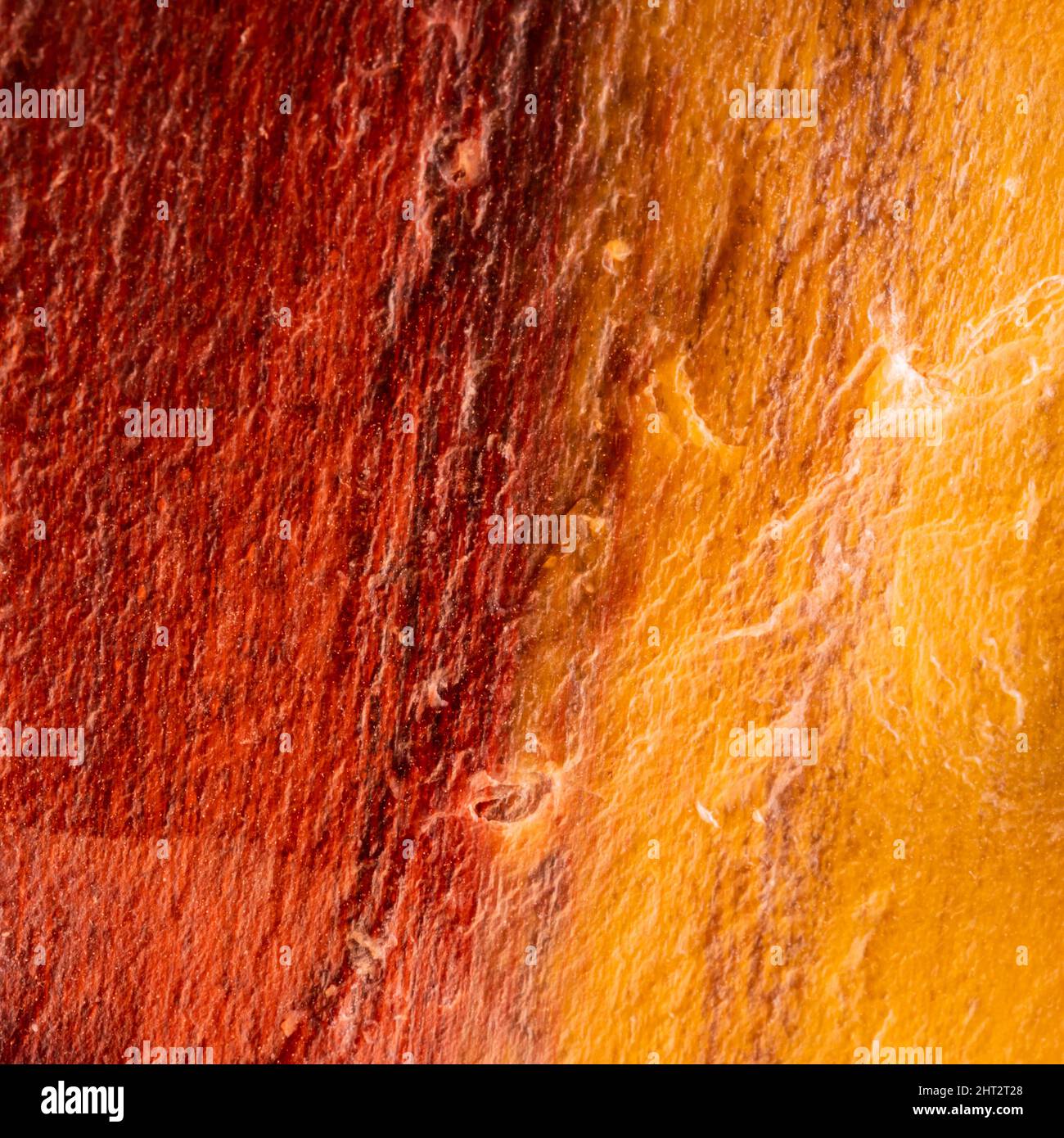 Gros plan texture du bois pétrifié fondu de l'image d'arrière-plan rouge à jaune Banque D'Images
