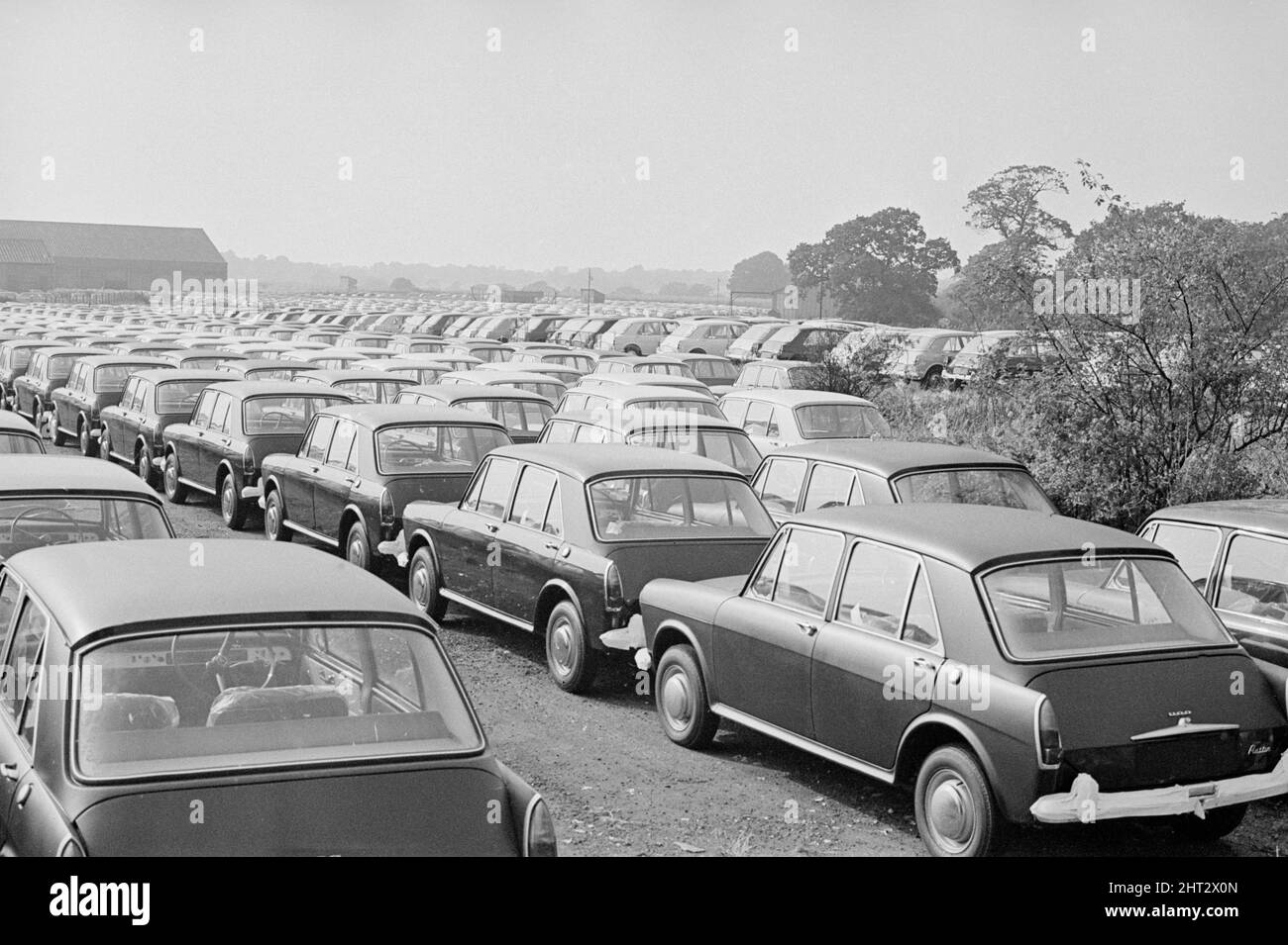 Des milliers de nouvelles voitures Austin produites stockées sur le shorlty de Wythnal Airfield après avoir été débarqué de la chaîne de production de Longbridge, Birmingham. 2nd octobre 1966. Banque D'Images