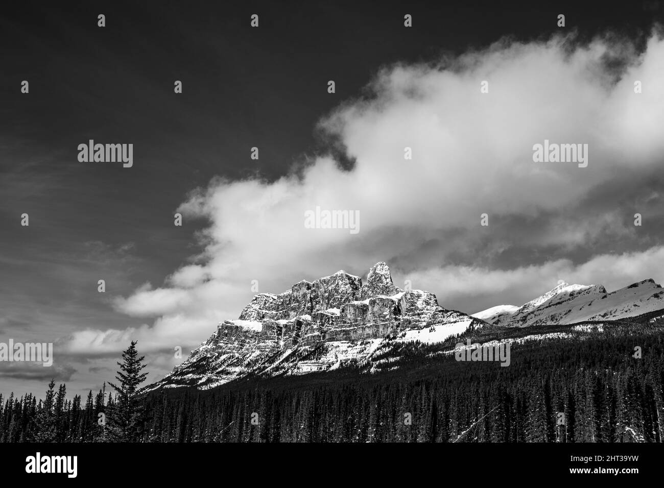 Photo en niveaux de gris d'une montagne enneigée majestueuse Banque D'Images