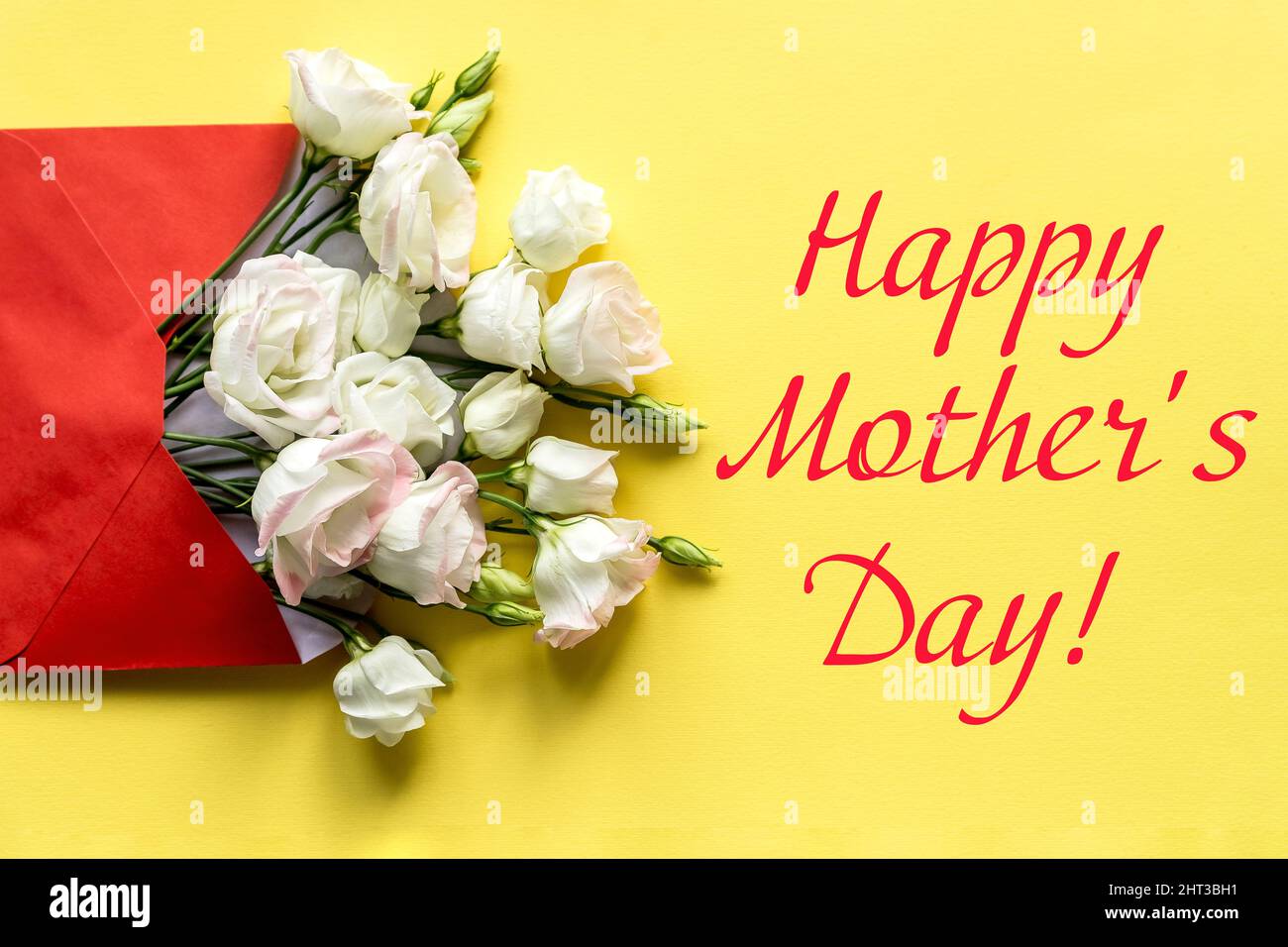 Fête des mères concept. Fleurs d'eustoma blanc sur fond jaune. Carte de vœux pour les femmes ou la Fête des mères. Flat Lay, vue de dessus. Motif floral élégant Banque D'Images