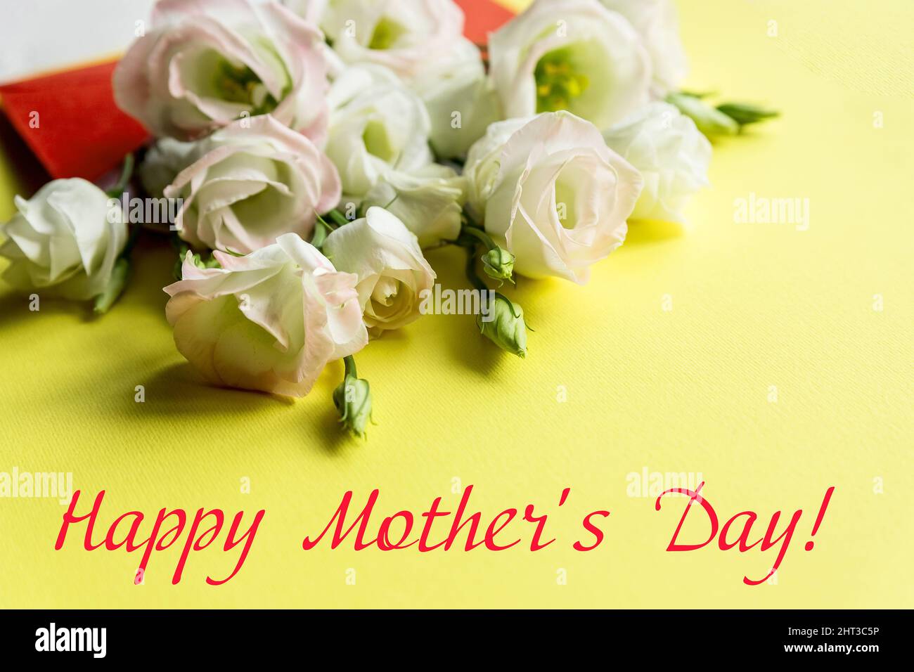 Fête des mères concept. Fleurs d'eustoma blanc sur fond jaune. Carte de vœux pour les femmes ou la Fête des mères. Flat Lay, vue de dessus. Motif floral élégant Banque D'Images
