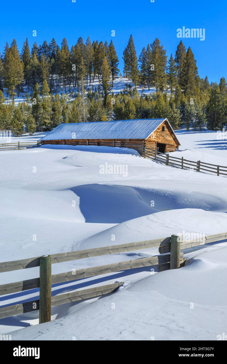 une ancienne grange en rondins et de profondes dérives de neige dans la vallée de dog creek près d'elliston, montana Banque D'Images