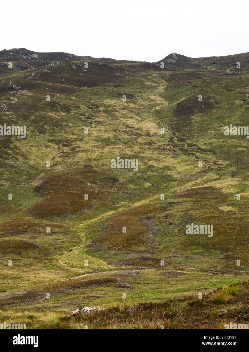 Vue sur le flanc de montagne en direction de Carn Fiaclach au-dessus de la lande, Loch Rannoch, Écosse, Royaume-Uni Banque D'Images
