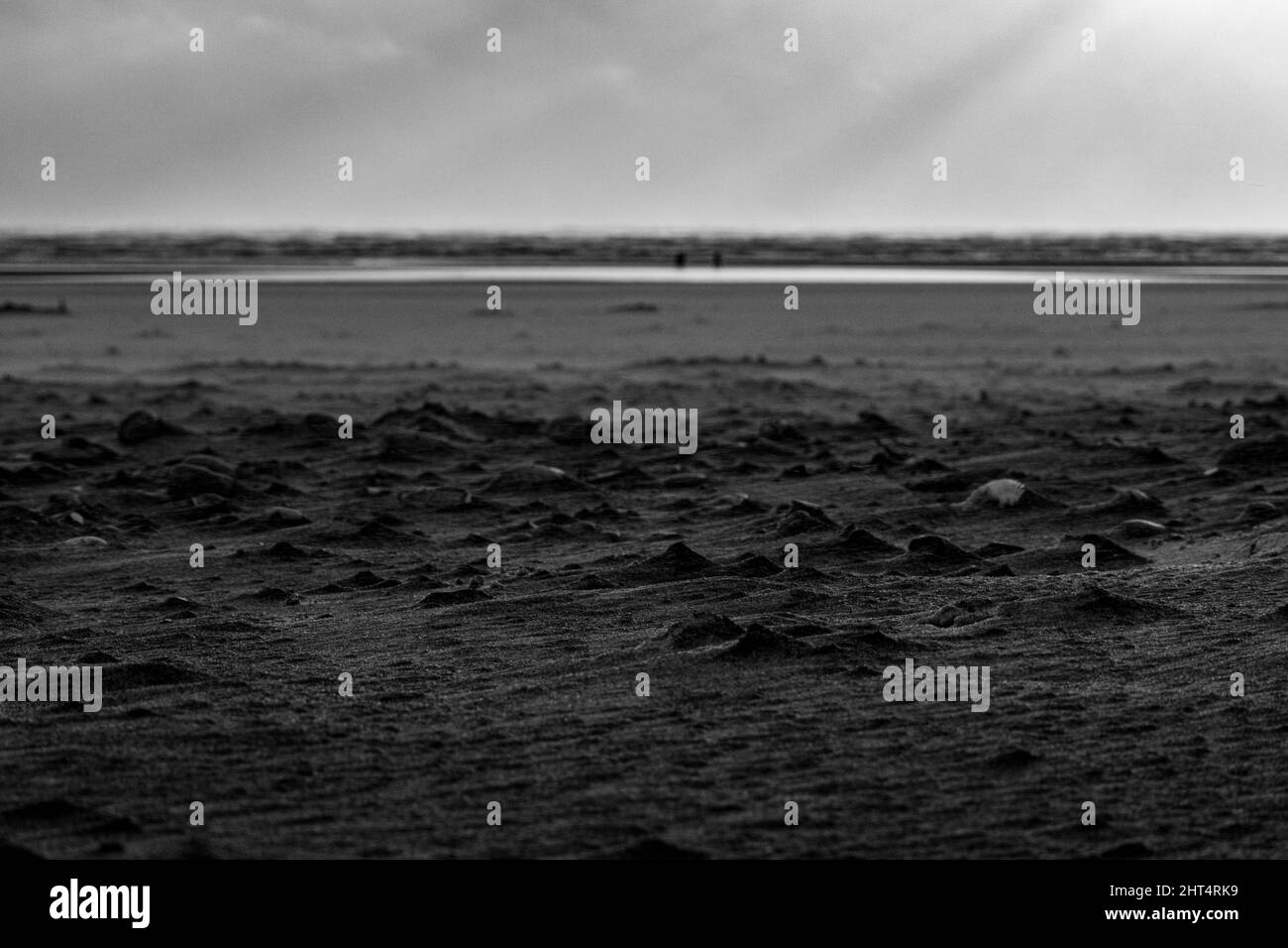 Prise de vue en niveaux de gris du Camber Sands entouré par la mer à Rye, Angleterre, Royaume-Uni Banque D'Images