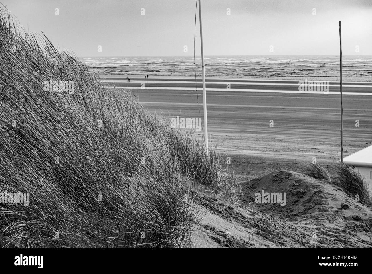 Prise de vue en niveaux de gris de la plage de Camber Sands recouverte d'herbe sous un ciel nuageux en Angleterre Banque D'Images