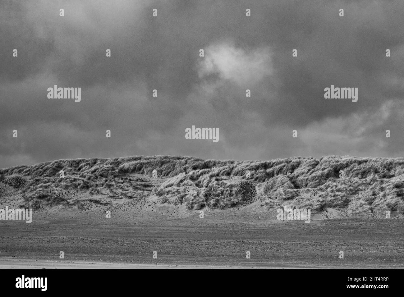 Prise de vue en niveaux de gris de la plage de Camber Sands recouverte d'herbe sous un ciel nuageux en Angleterre Banque D'Images