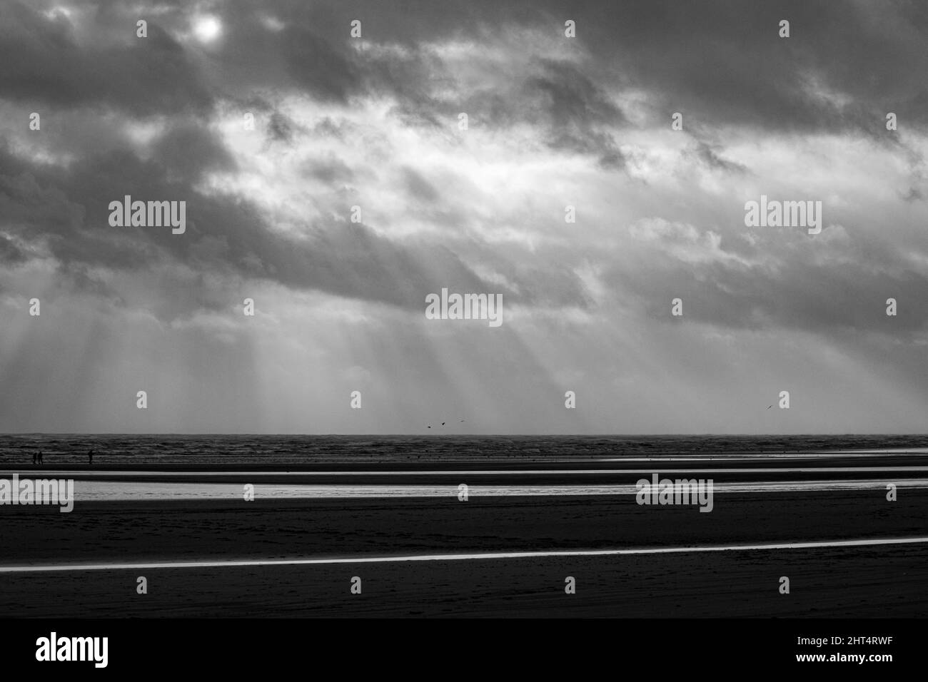 Prise de vue en niveaux de gris du Camber Sands entouré par la mer à Rye, Angleterre, Royaume-Uni Banque D'Images