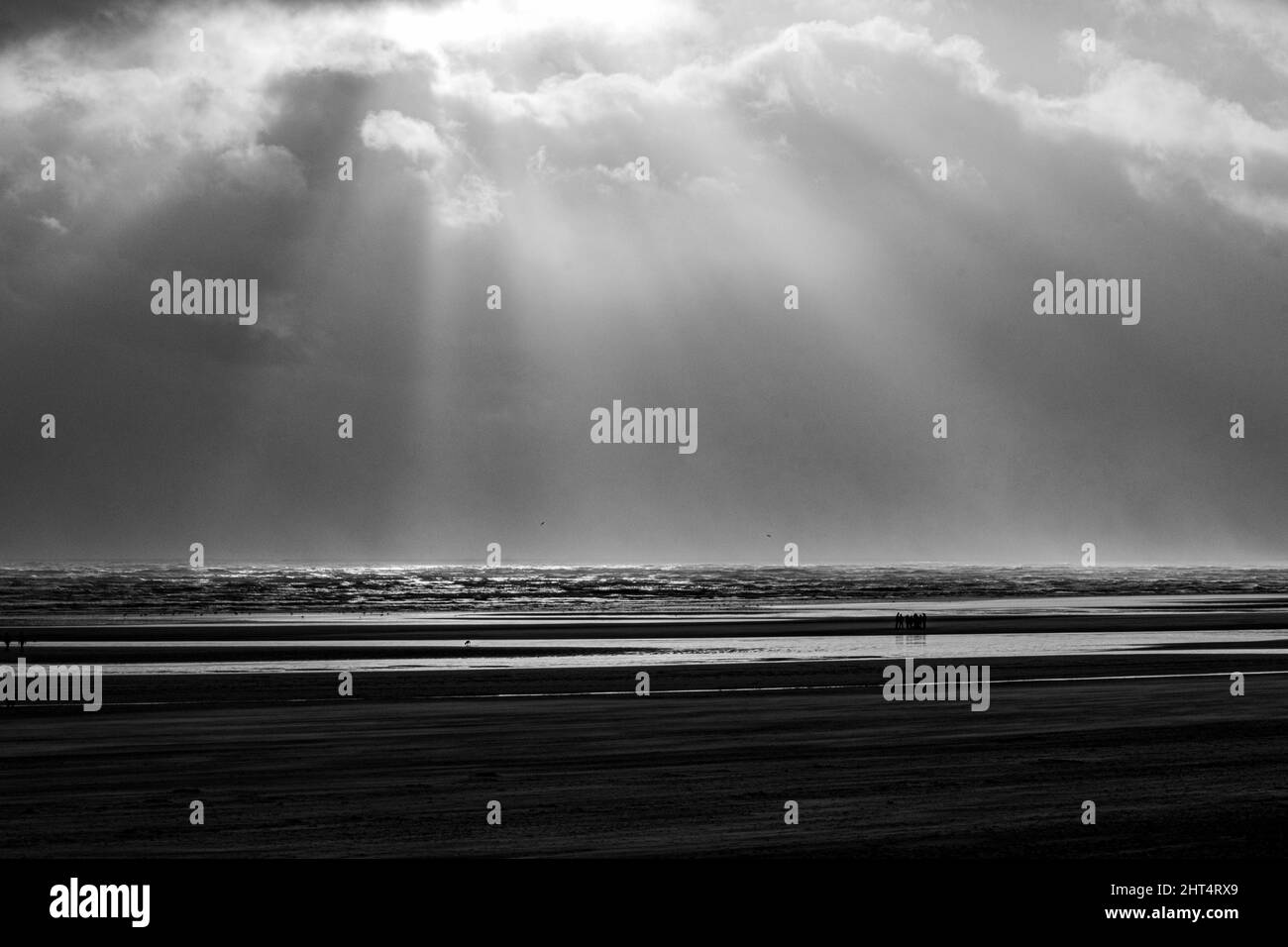 Prise de vue en niveaux de gris du Camber Sands entouré par la mer à Rye, Angleterre, Royaume-Uni Banque D'Images