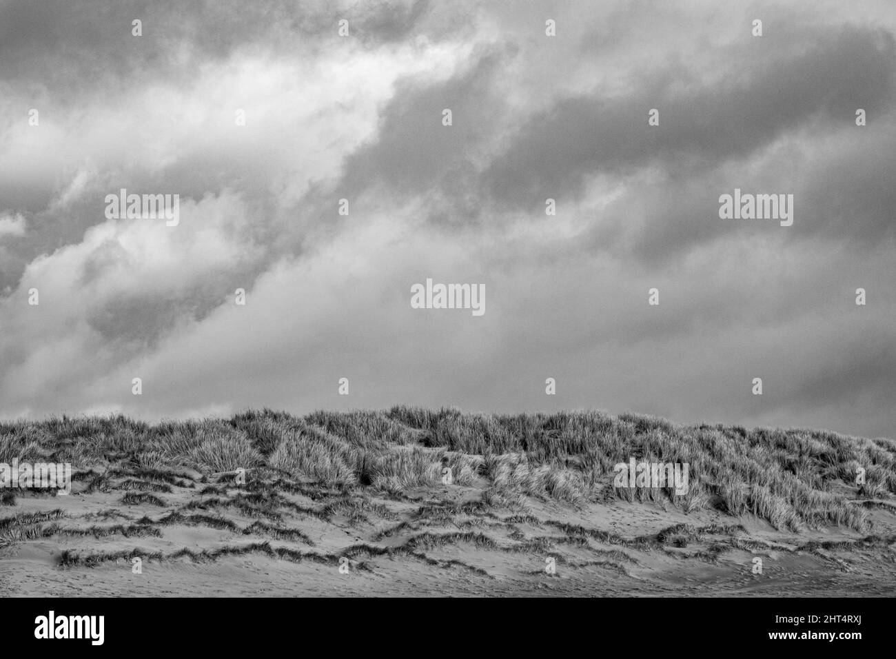 Prise de vue en niveaux de gris de la plage de Camber Sands recouverte d'herbe sous un ciel nuageux en Angleterre Banque D'Images